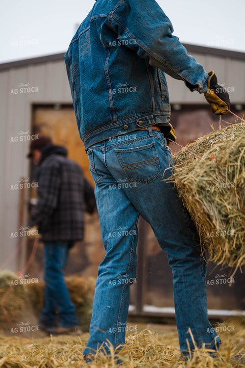 Cattlemen Moving Small Bales 97254