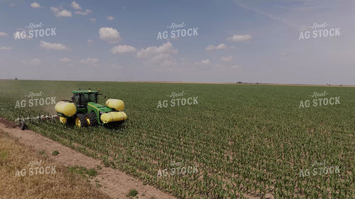 Ripping Corn 239307