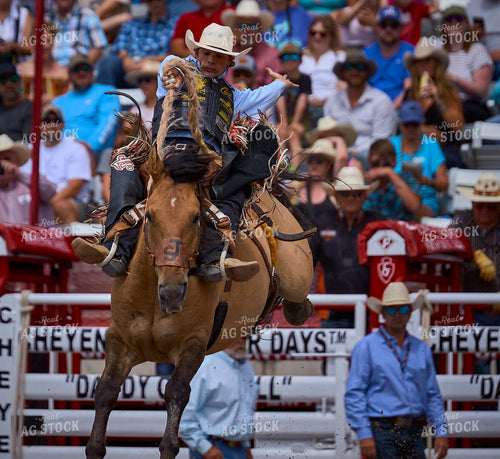 Saddle Bronc Riding 177015