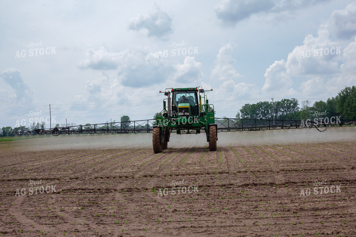 Spraying Corn 132113