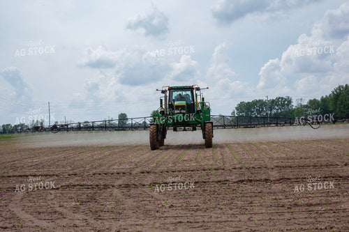 Spraying Corn 132113