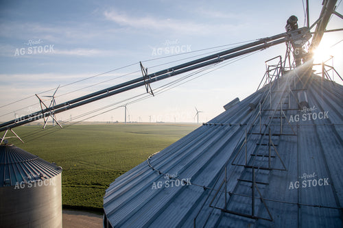 Foggy Sunrise over Soybean Field from Top of Grain Bin 25030