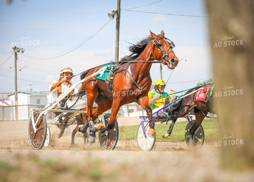 Horse Racing 160063