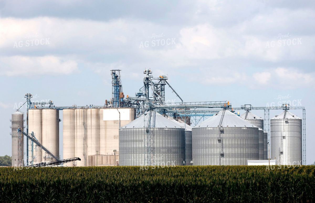 Grain Elevator 141727