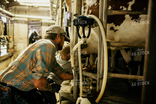 Dairy 2738