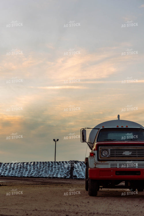 Silage Pile 224001