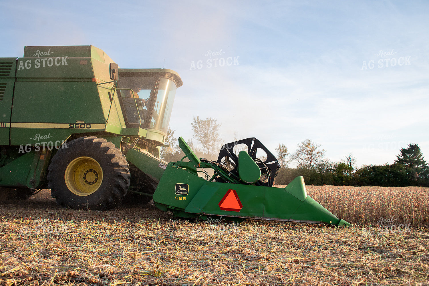 Soybean Harvest 50296