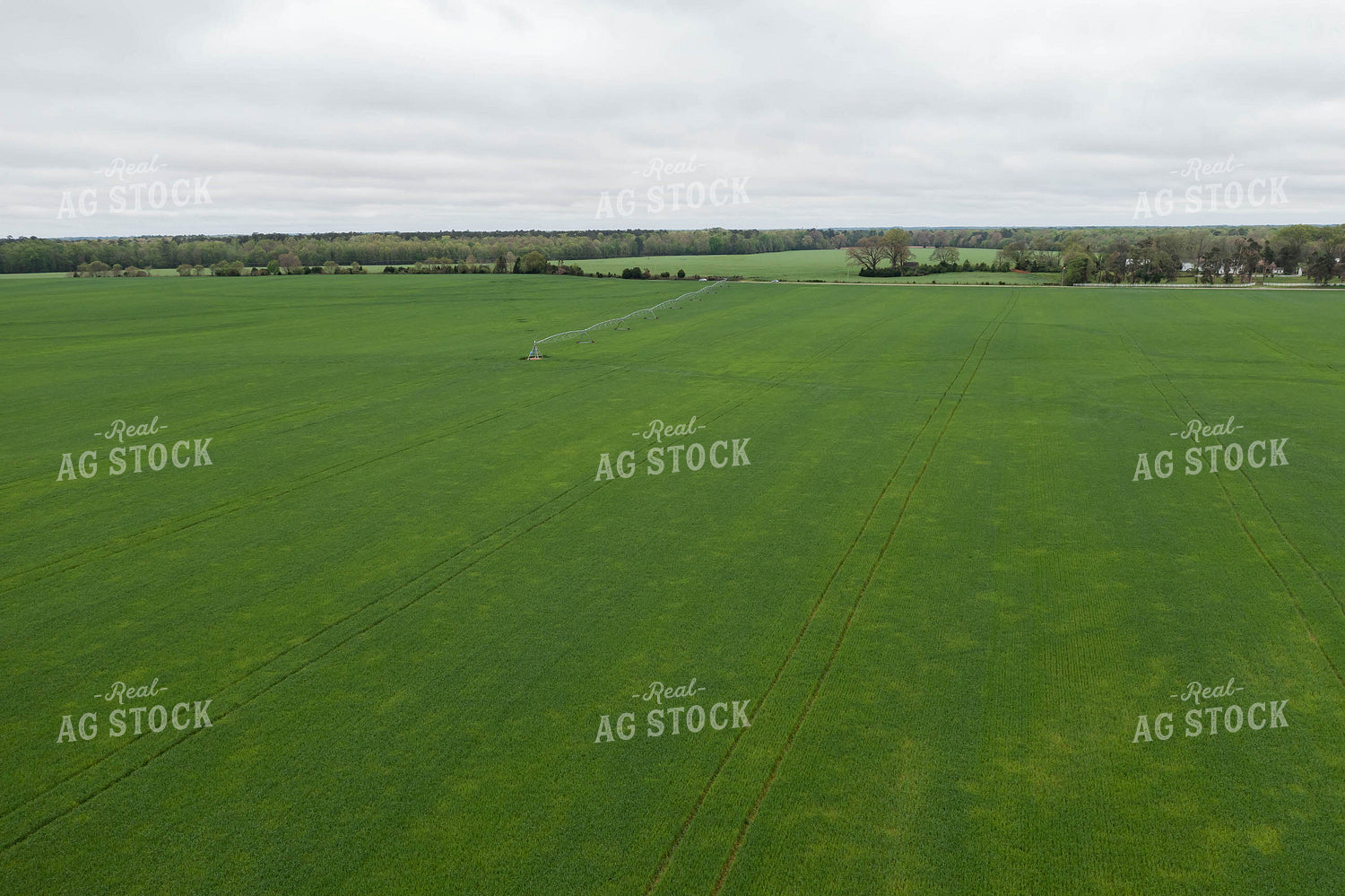 Farmland With Irrigation System 79229