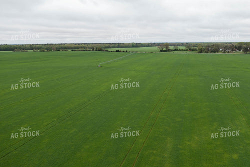 Farmland With Irrigation System 79229