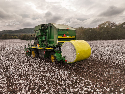 Cotton Harvest 128108