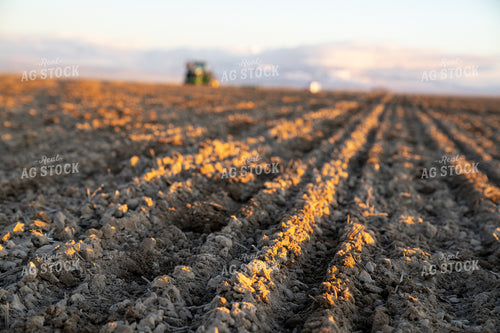 Drilling Barley 186005