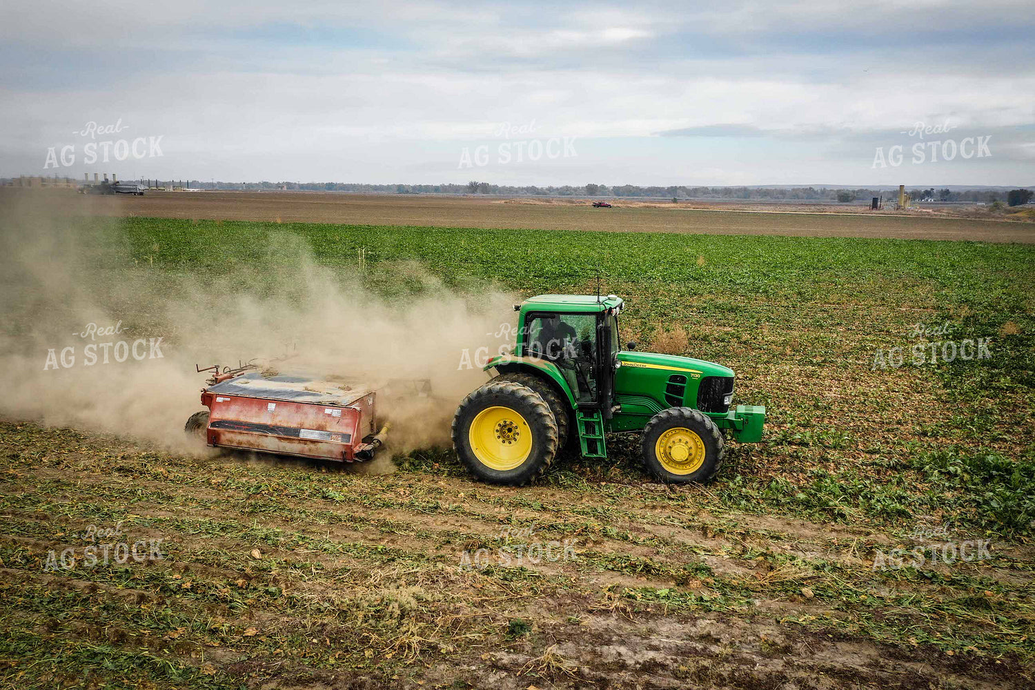 Sugar Beet Harvest 56493