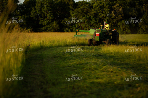 Cutting Hay 4953