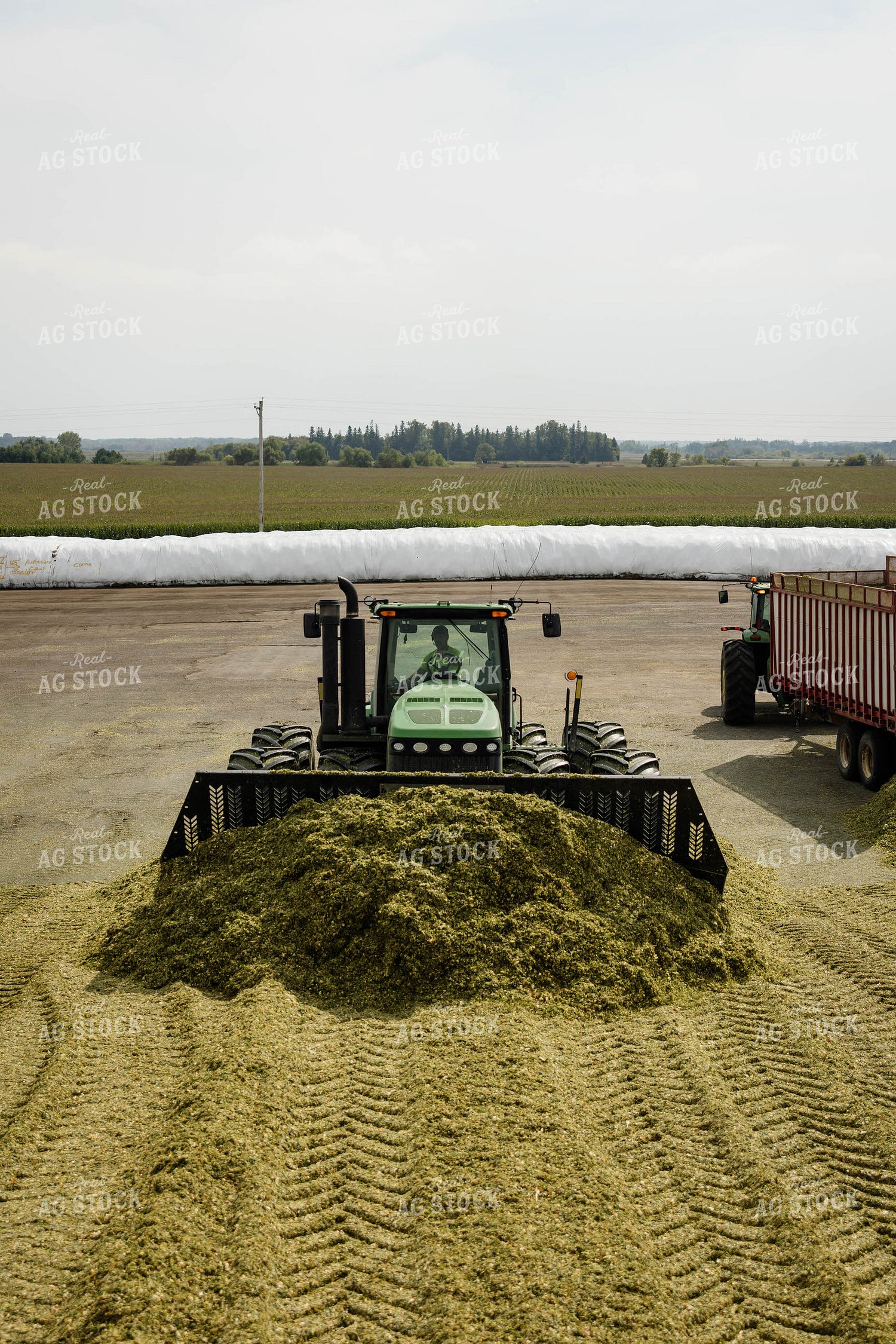 Packing Corn Silage 152944
