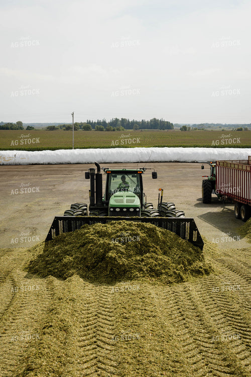 Packing Corn Silage 152944