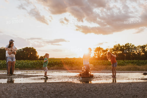 Farm Family Playing 8843