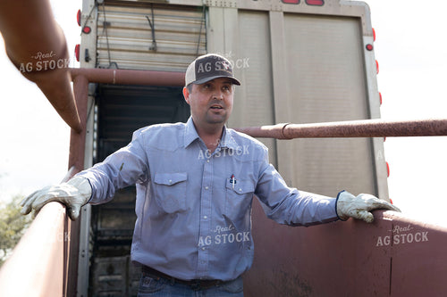 Rancher Coming Down Loading Chute 205085