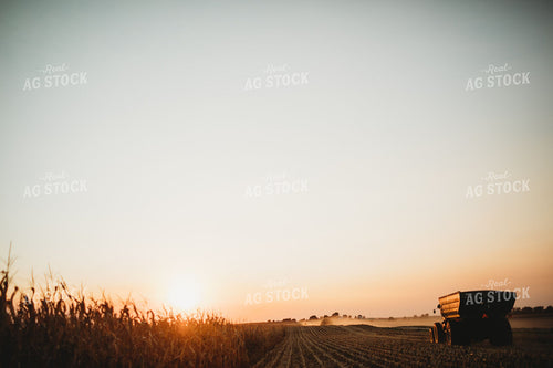 Grain Cart at Sunset During Fall Corn Harvest 400029