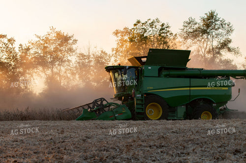Soybean Harvest 157115