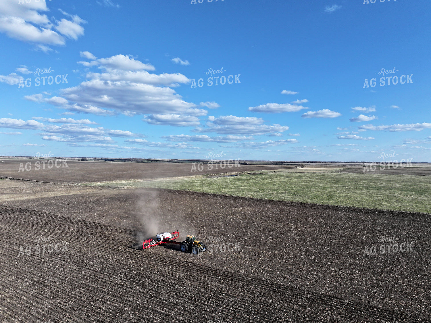 Planting 141106