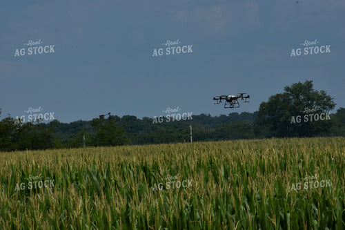 Drone Sprayer Above Corn 84100