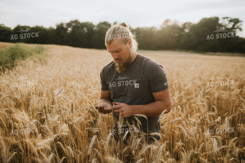 Farmer in Rye Field 5970