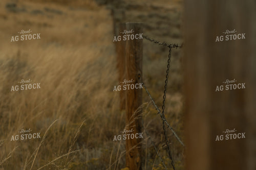 Barbed Wire Fence 58278