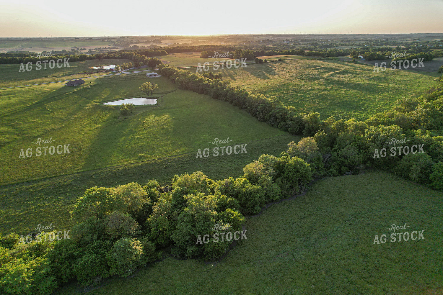 Aerial of Summer Pasture 261058