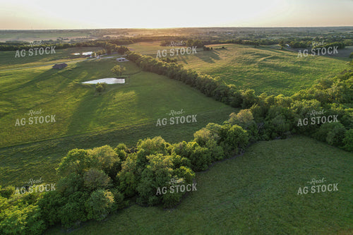 Aerial of Summer Pasture 261058