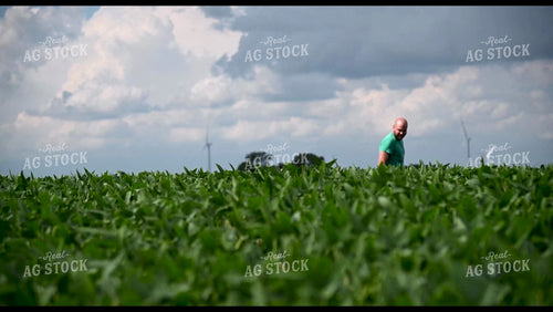 Farmer Scouting Growing Crops - 308