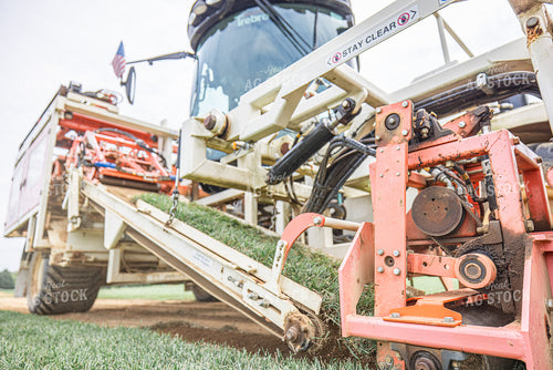 Harvesting Turf 270319