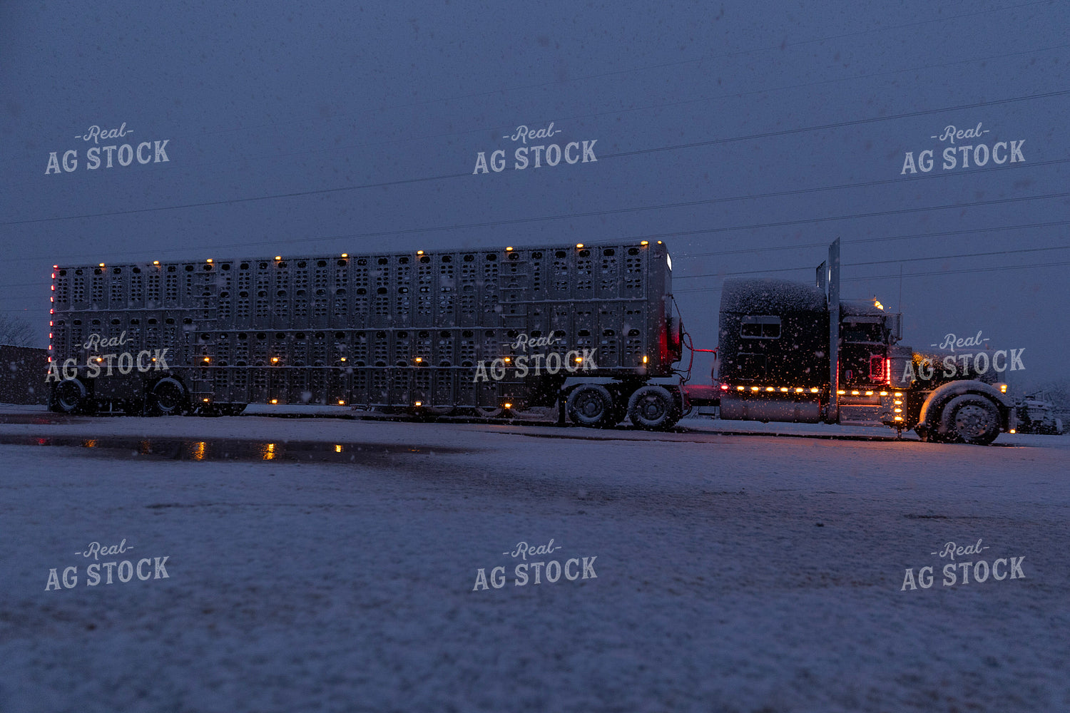 Snow Covered Semi Trailer 205064