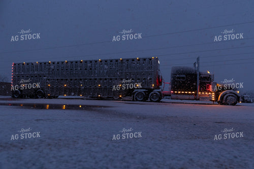 Snow Covered Semi Trailer 205064