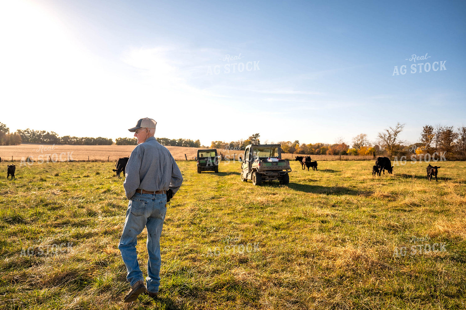 Farmer in Pasture 115472