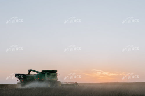 Soybean Harvest 77292