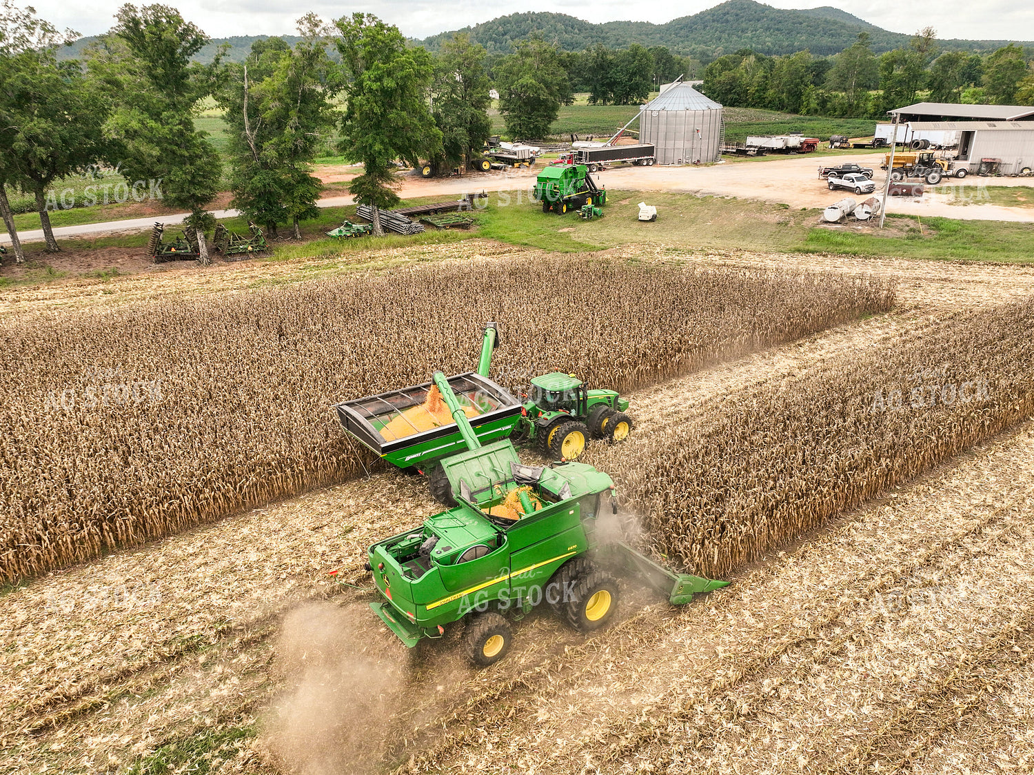 Corn Harvest 128116