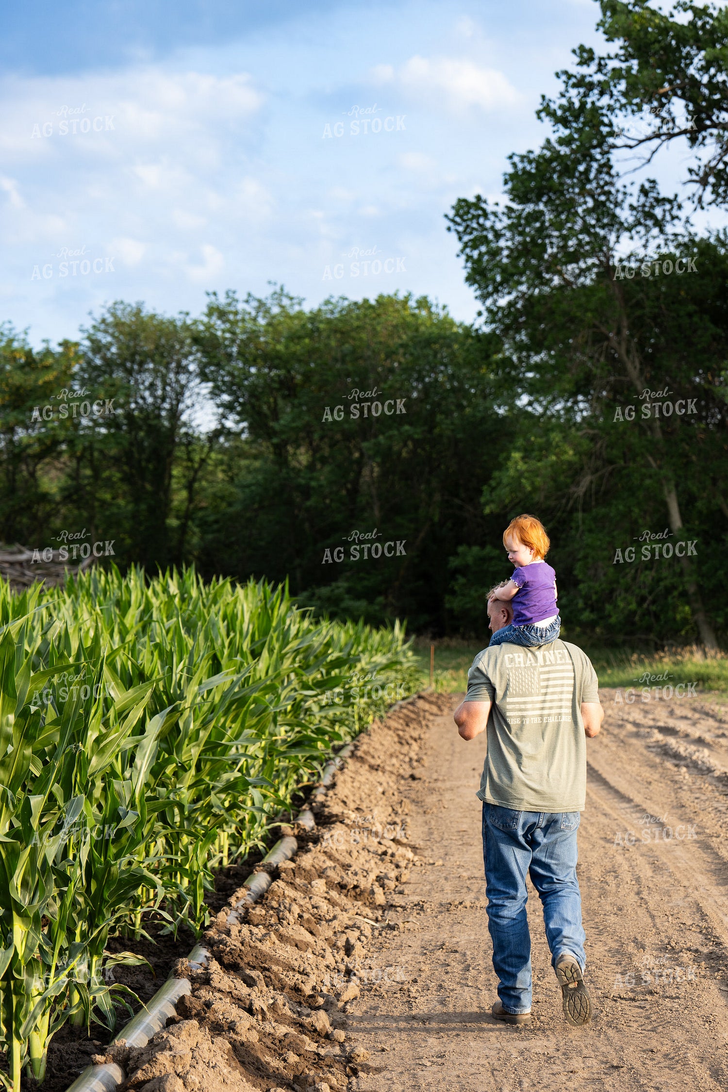 Farmer and Farm Kid Checking Corn Field and Irrigation 65870