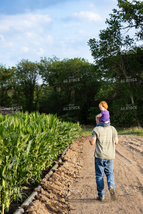Farmer and Farm Kid Checking Corn Field and Irrigation 65870