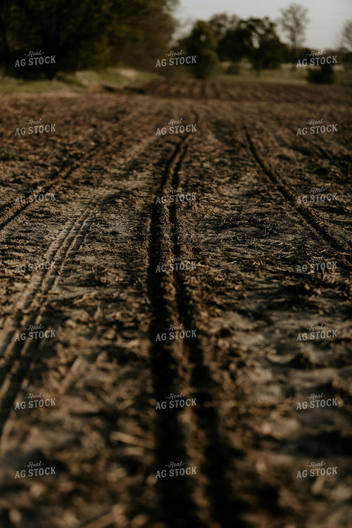 Planting 2852