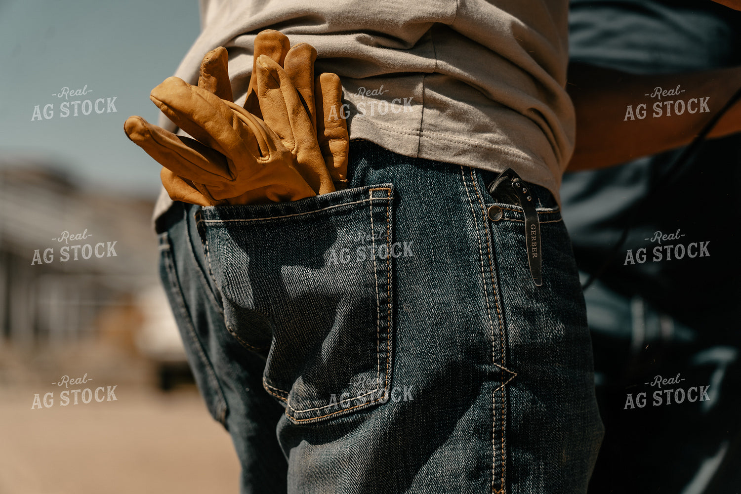 Back Pocket With Gloves 58208