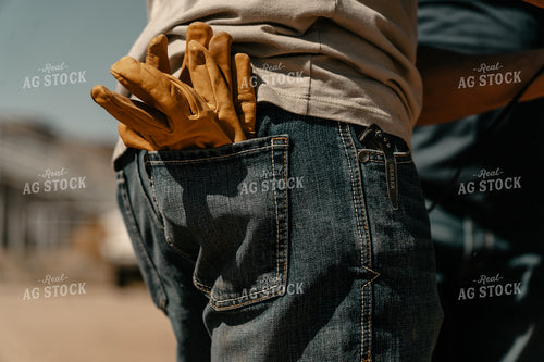 Back Pocket With Gloves 58208