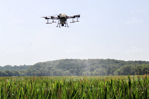 Drone Spraying Corn Field 101014