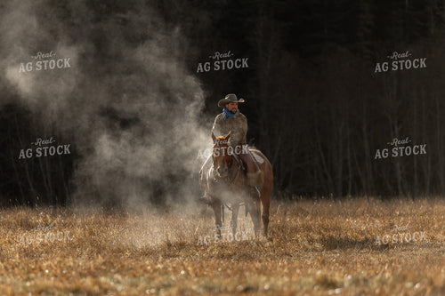 Cowboy on Horseback 188155