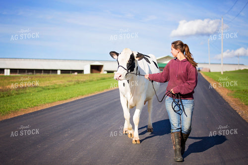 Holstein Cow and Farmer 55162