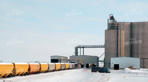 Train Loading Grain 154058