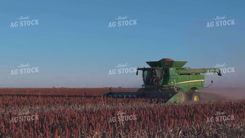 Milo Harvest 239052