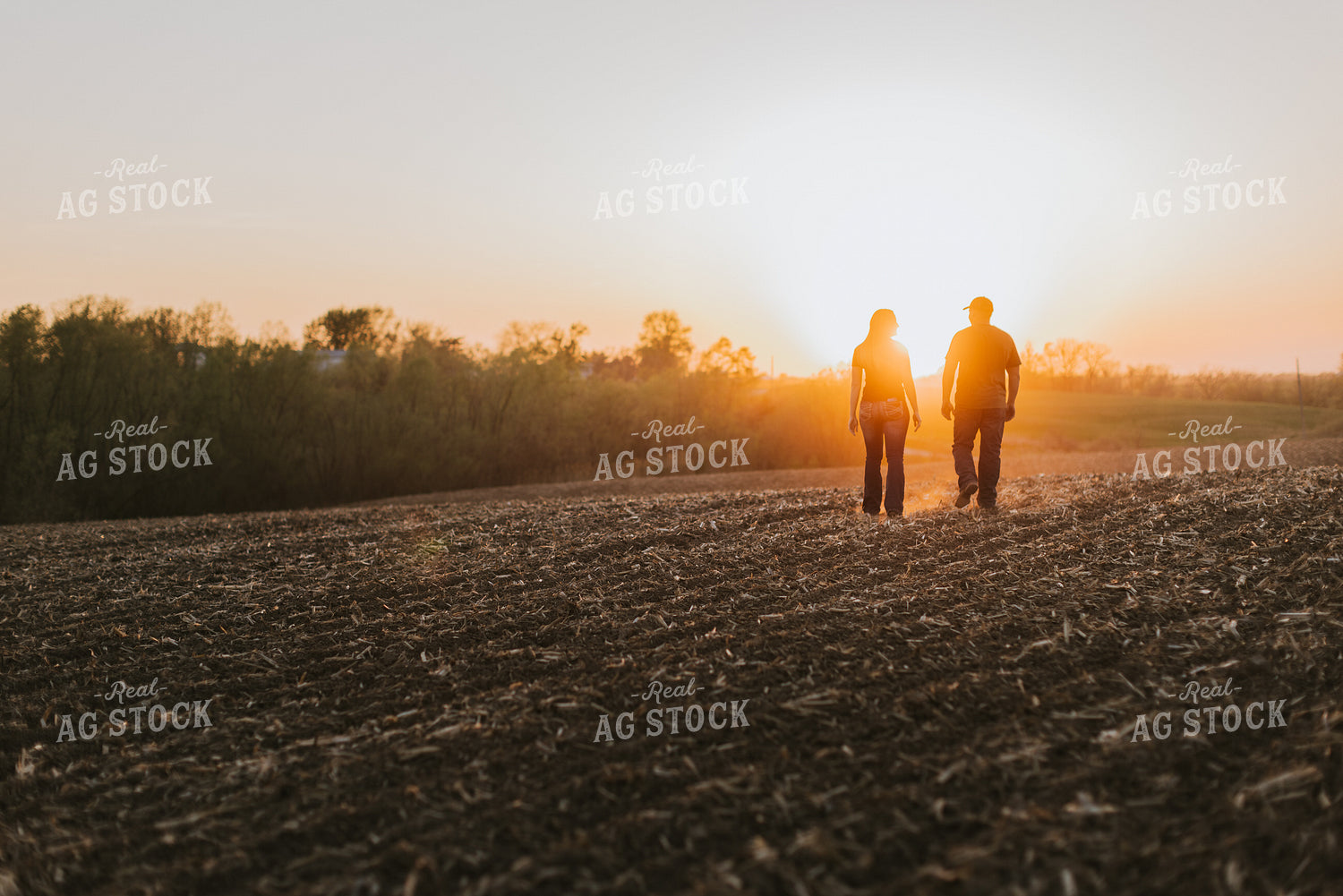 Young Couple Walk in Field at Sunset 7723