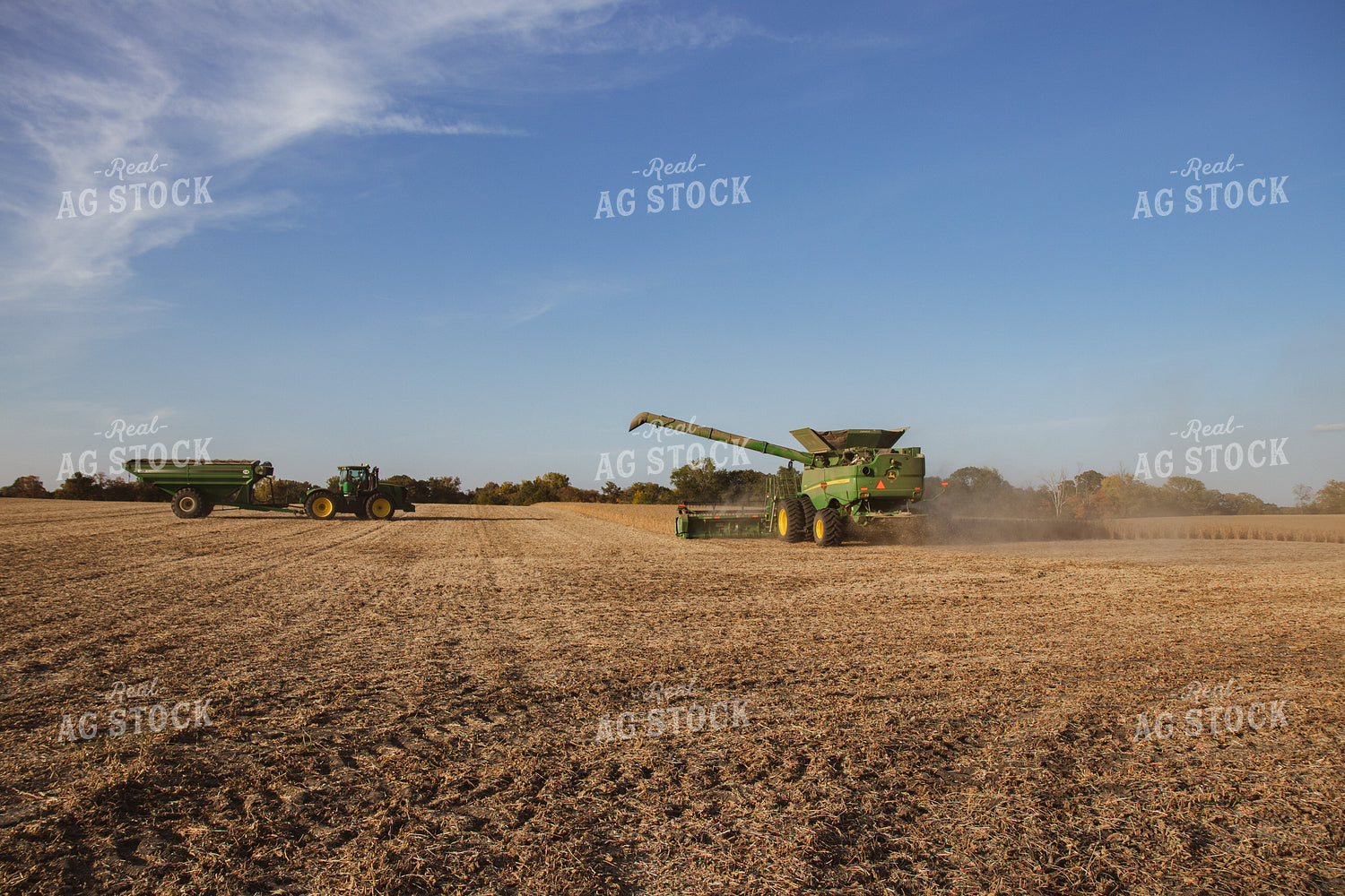 Soybean Harvest 67270