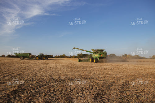 Soybean Harvest 67270