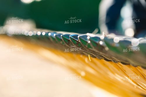 Combine Head Teeth 52628